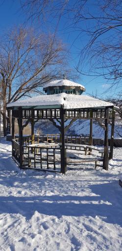 عکس پارک ولایت