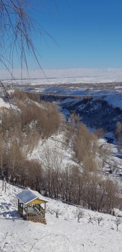 عکس پارک ولایت