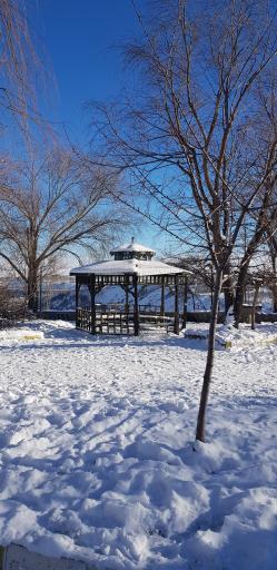 عکس پارک ولایت