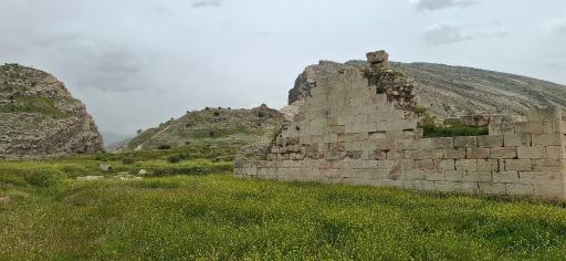 عکس تنگ چوگان