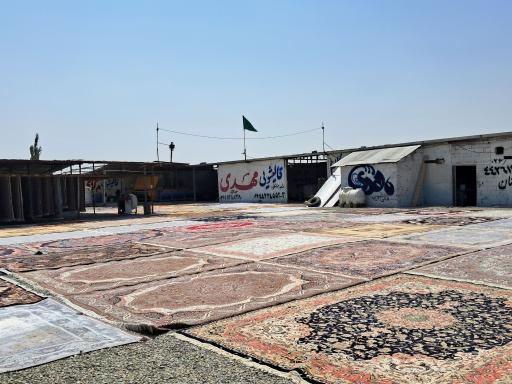 عکس قالیشویی مهدی