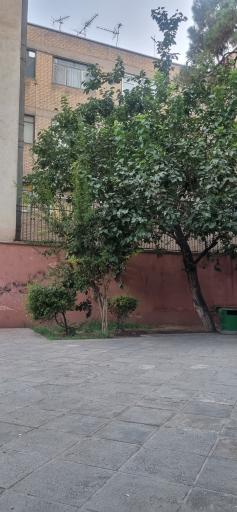 عکس باغ موزه ملی کار