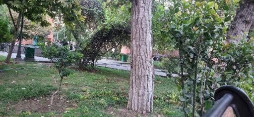 عکس باغ موزه ملی کار