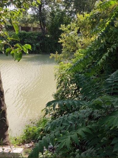 عکس رودخانه لنگا