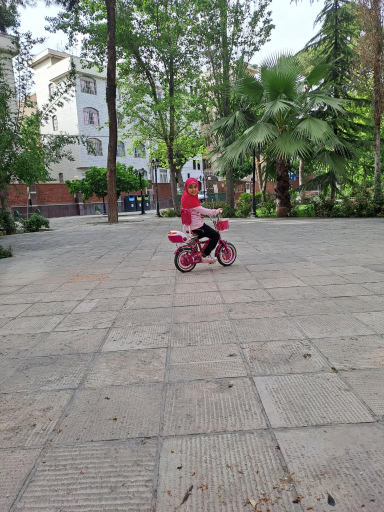 عکس باغ موزه ملی کار