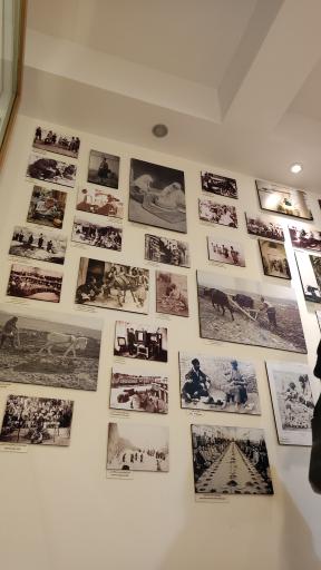 عکس باغ موزه ملی کار