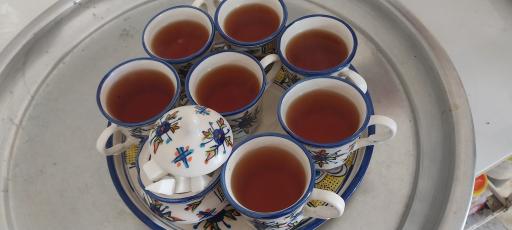 عکس اقامتگاه سنتی نارین قلعه