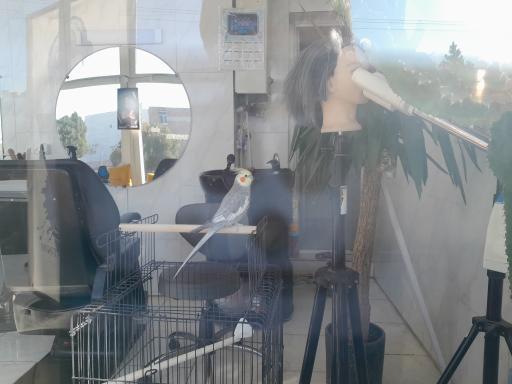 عکس آرایشگاه مصطفی نظری