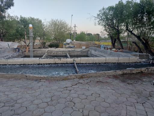 عکس مزرعه ماهی رنگین کمان (ماهی زنده)