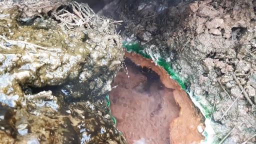 عکس چشمه آبگرم داش آلتی ولیعصر قینرجه / نیر