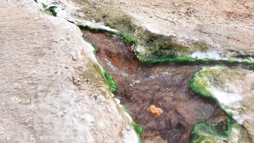 عکس چشمه آبگرم داش آلتی ولیعصر قینرجه / نیر