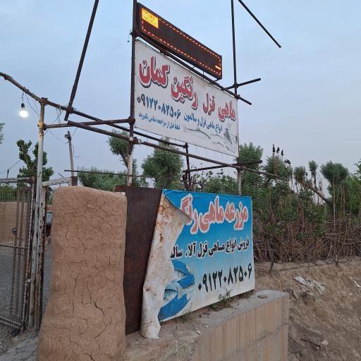 عکس مزرعه ماهی رنگین کمان (ماهی زنده)