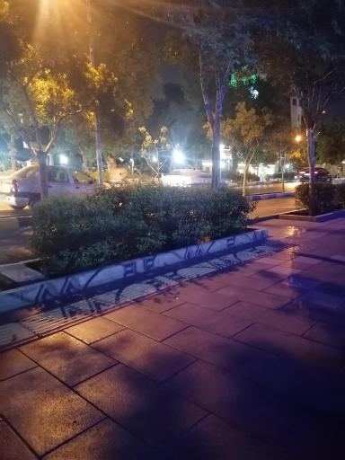 عکس  شهید دیالمه 5