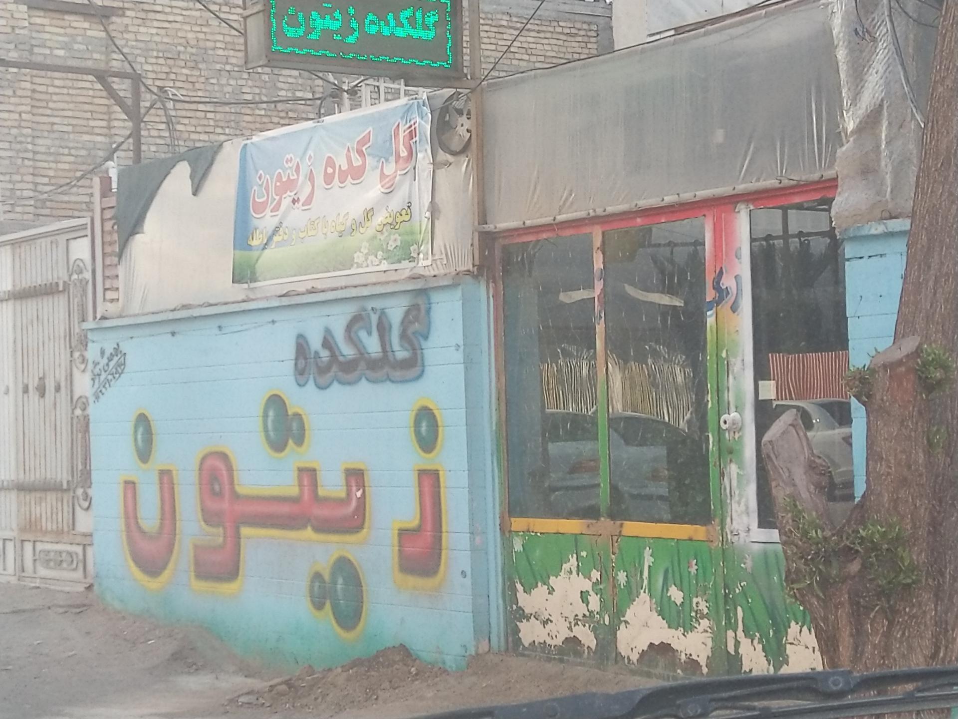 عکس گلسرای زیتون