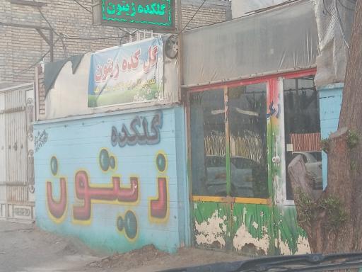 عکس گلسرای زیتون