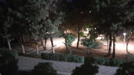 عکس پارک شمشاد
