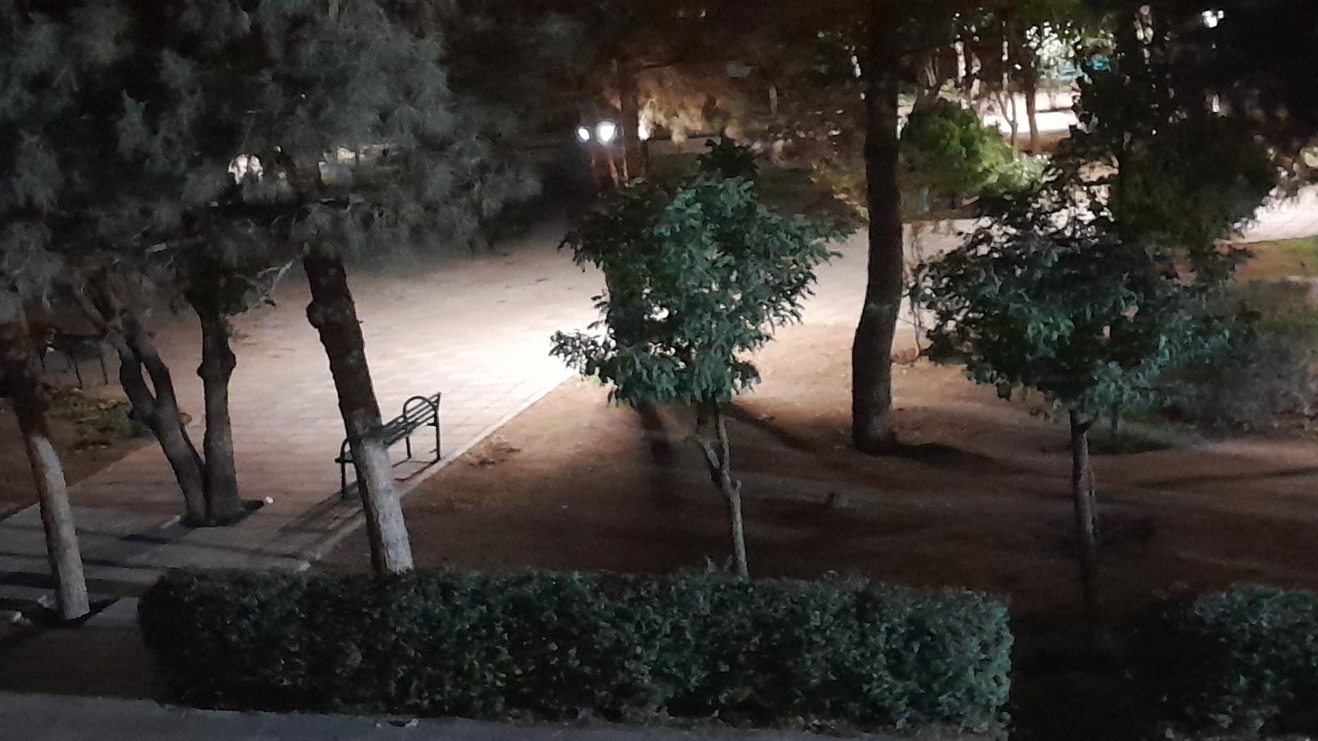 عکس پارک شمشاد