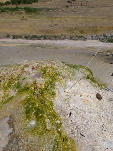 عکس چشمه آبگرم داش آلتی ولیعصر قینرجه / نیر