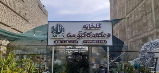 عکس گلخانه دهکده کاکتوس