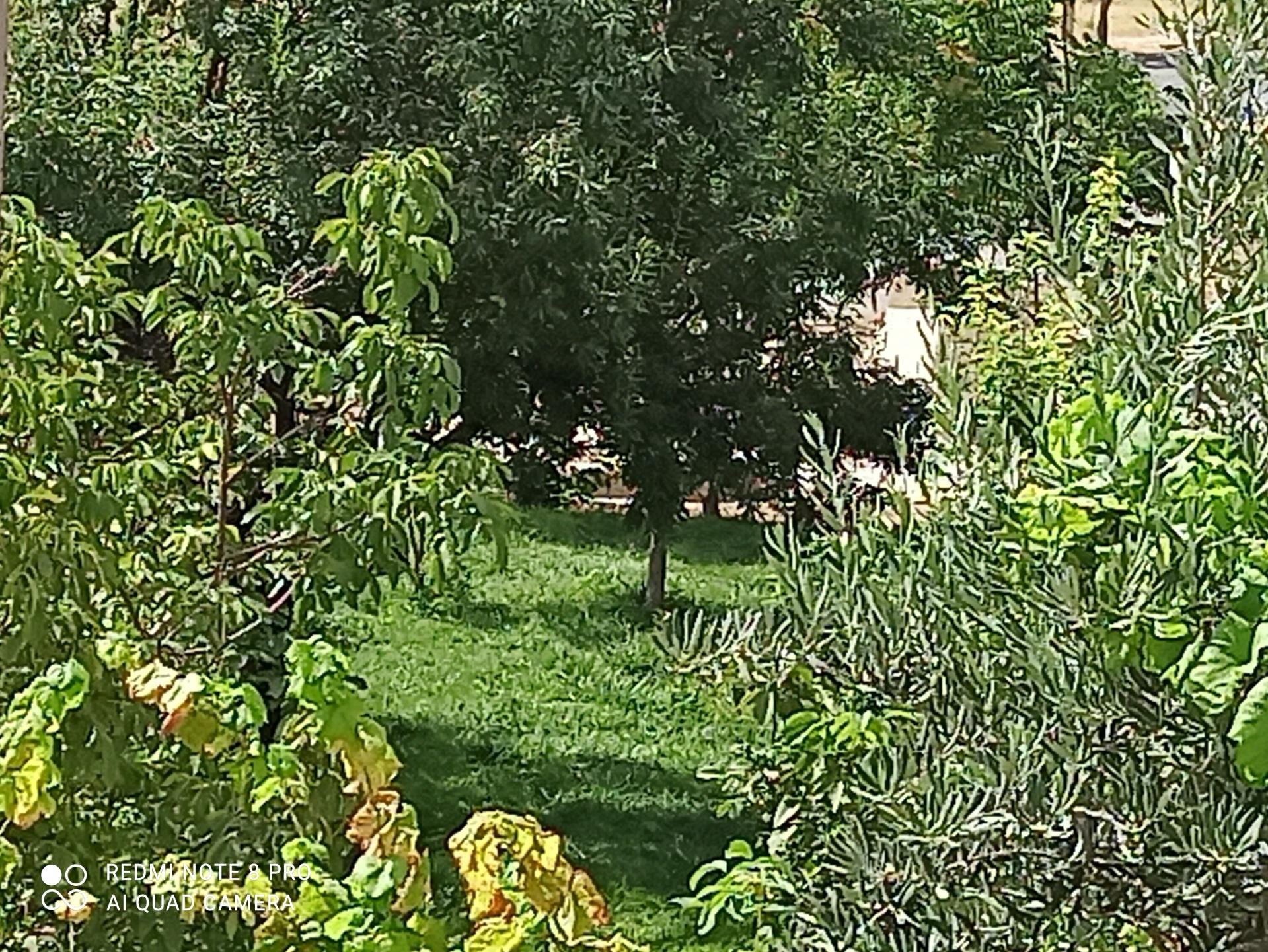 عکس بوستان ذوالفقاری 