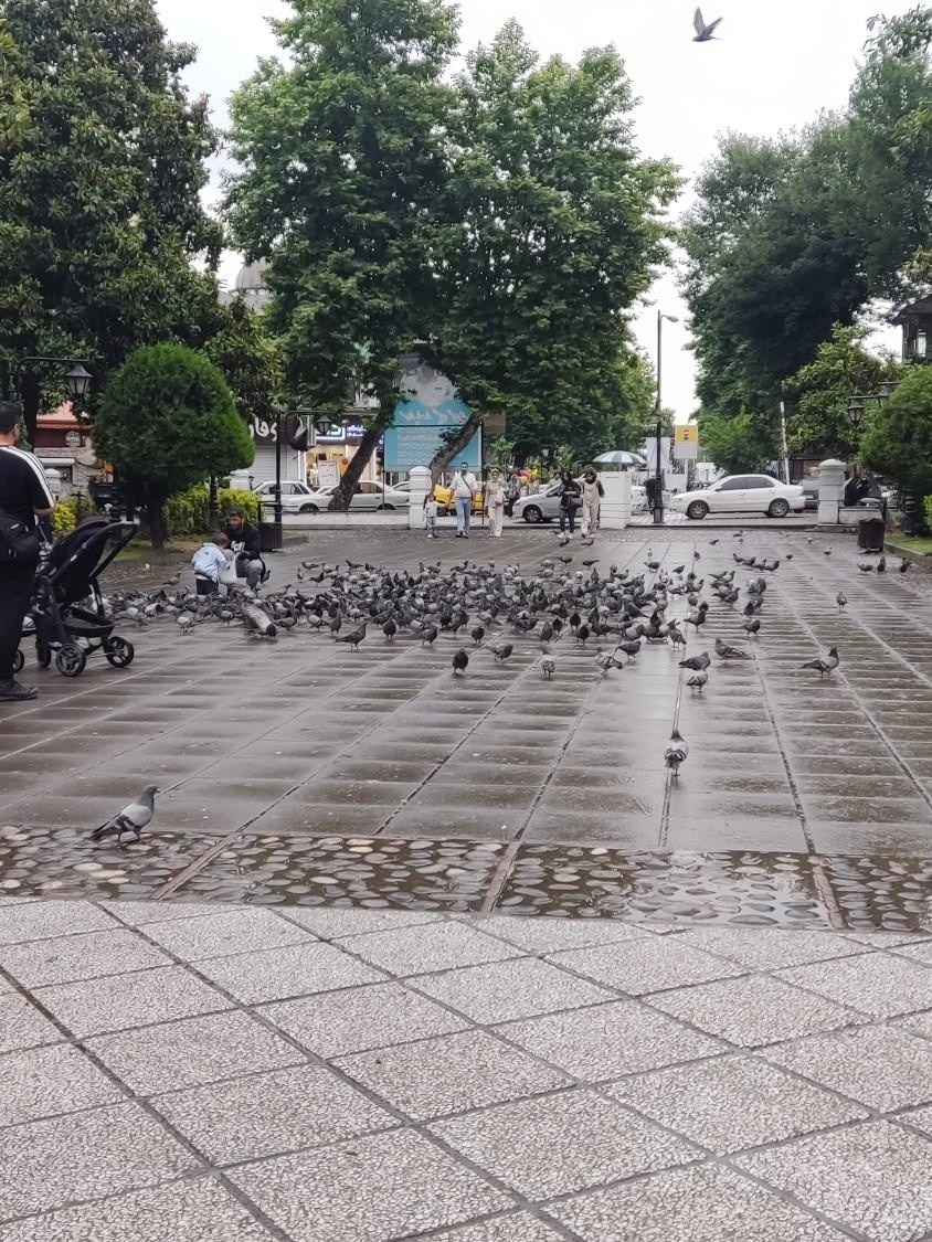 عکس سبزه میدان