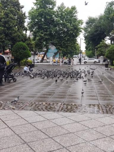 عکس سبزه میدان