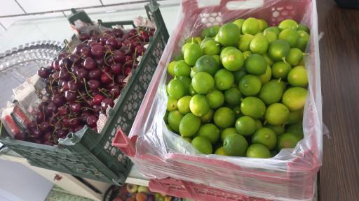 عکس سوپر میوه احمدی