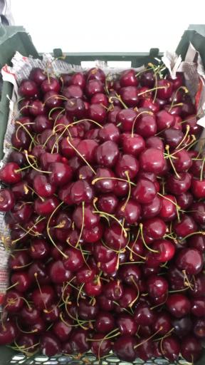 عکس سوپر میوه احمدی