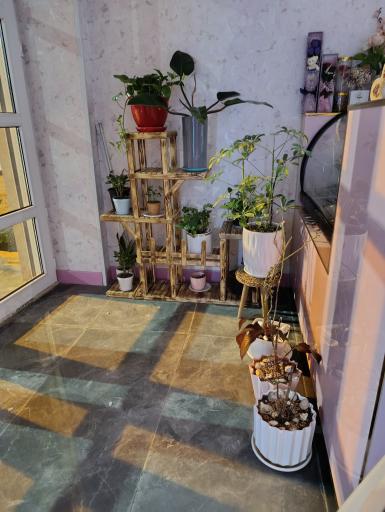 عکس کافه روشن