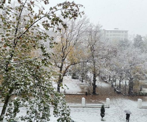 عکس سبزه میدان