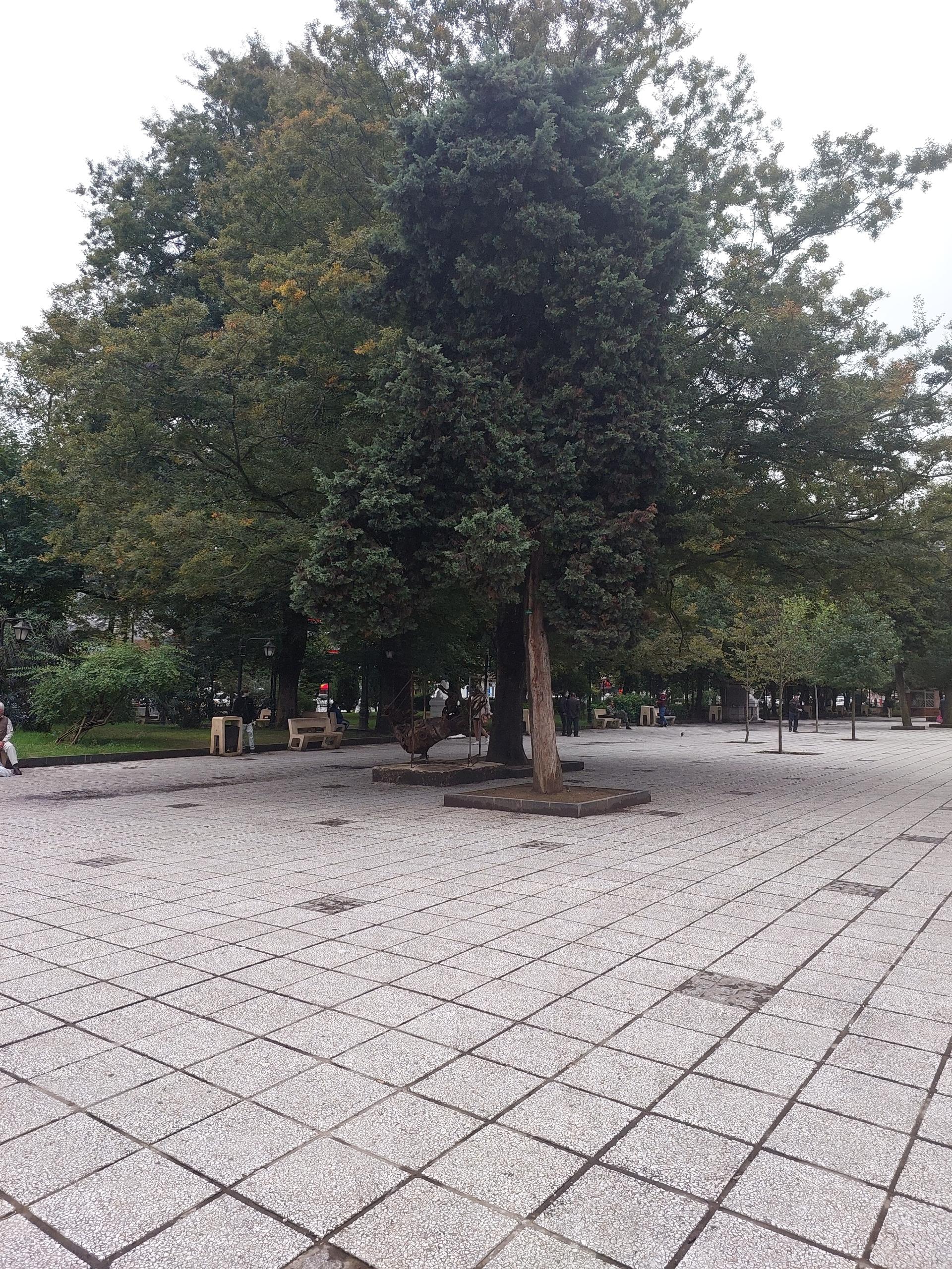 عکس سبزه میدان