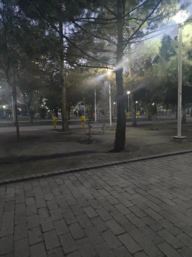 عکس بوستان ایثارگران