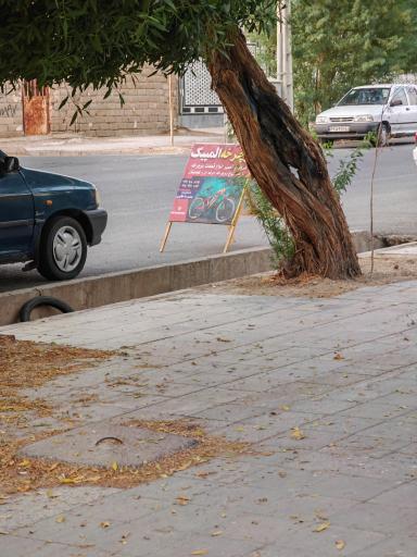 عکس دوچرخه المپیک