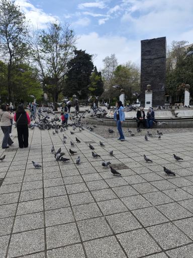 عکس سبزه میدان