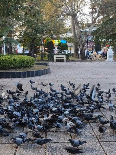 عکس سبزه میدان