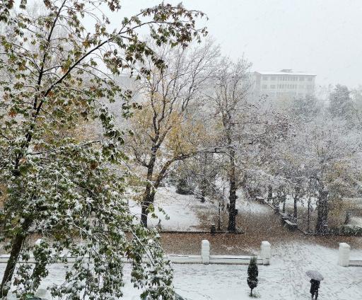عکس سبزه میدان