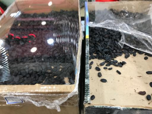 عکس سبزی خرد کنی ریحانه تک