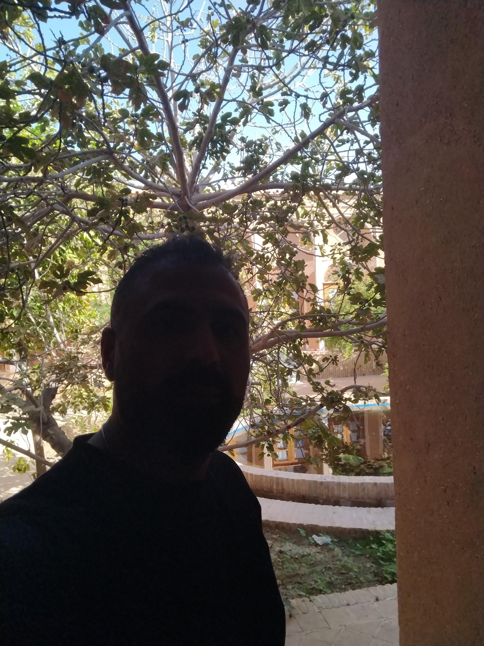 عکس خانه سالار میبد