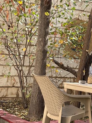 عکس کافه کتاب پاگرد