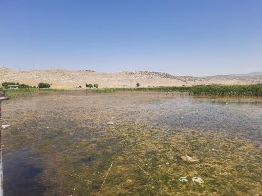 عکس دریاچه سراب شرف آباد