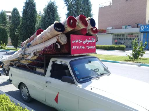 عکس قالیشویی شیخ طوسی