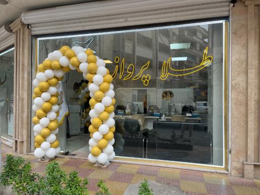 عکس طلا پرواز