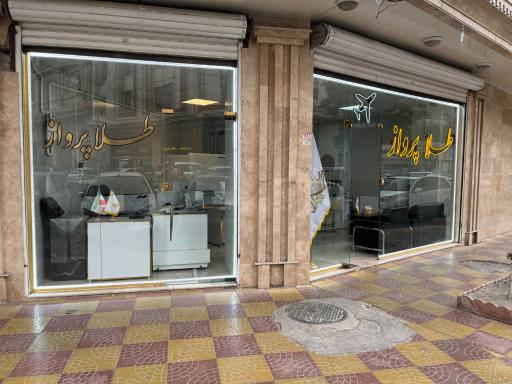 عکس طلا پرواز