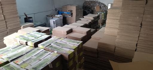 عکس کارتن سازی آذین کارتن