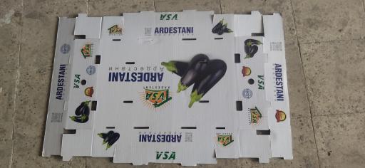 عکس کارتن سازی آذین کارتن