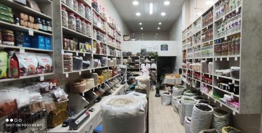 عکس عطاری دمیری ( آکسین)