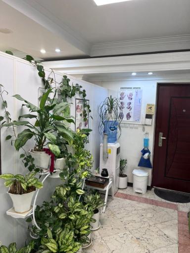 فیزیوتراپی بهشت