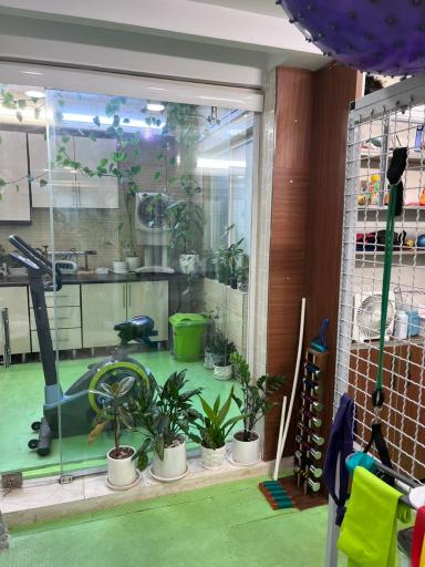 فیزیوتراپی بهشت