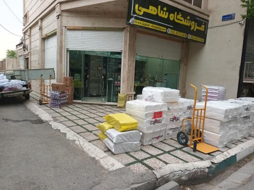 عکس فروشگاه شاهی