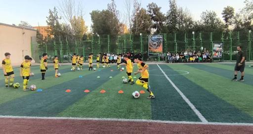 زمین چمن منتخب جوان مهر